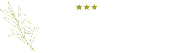 LOGO emeraude footer
